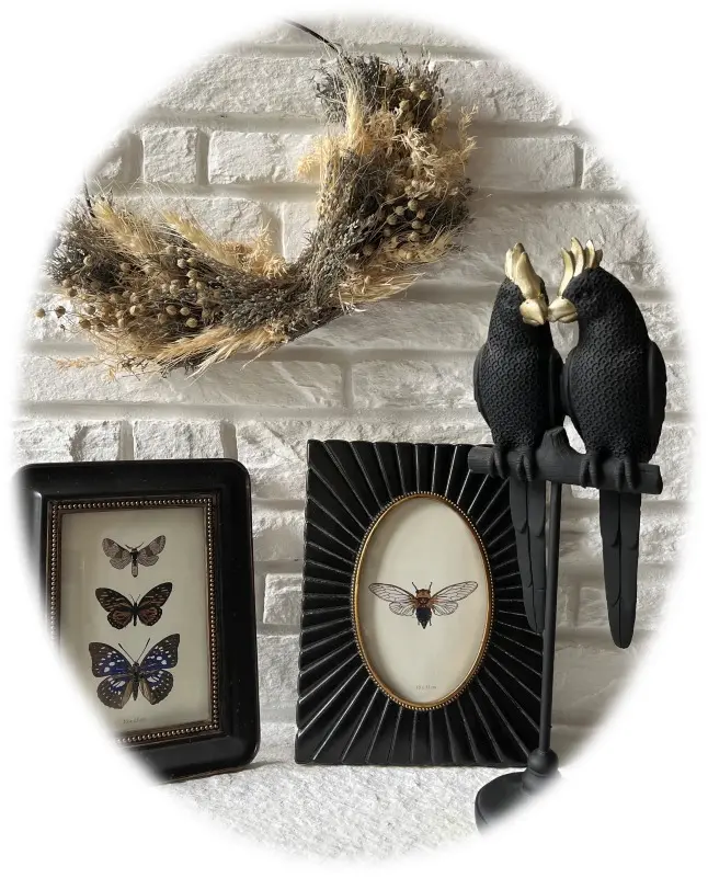 oiseaux_salon