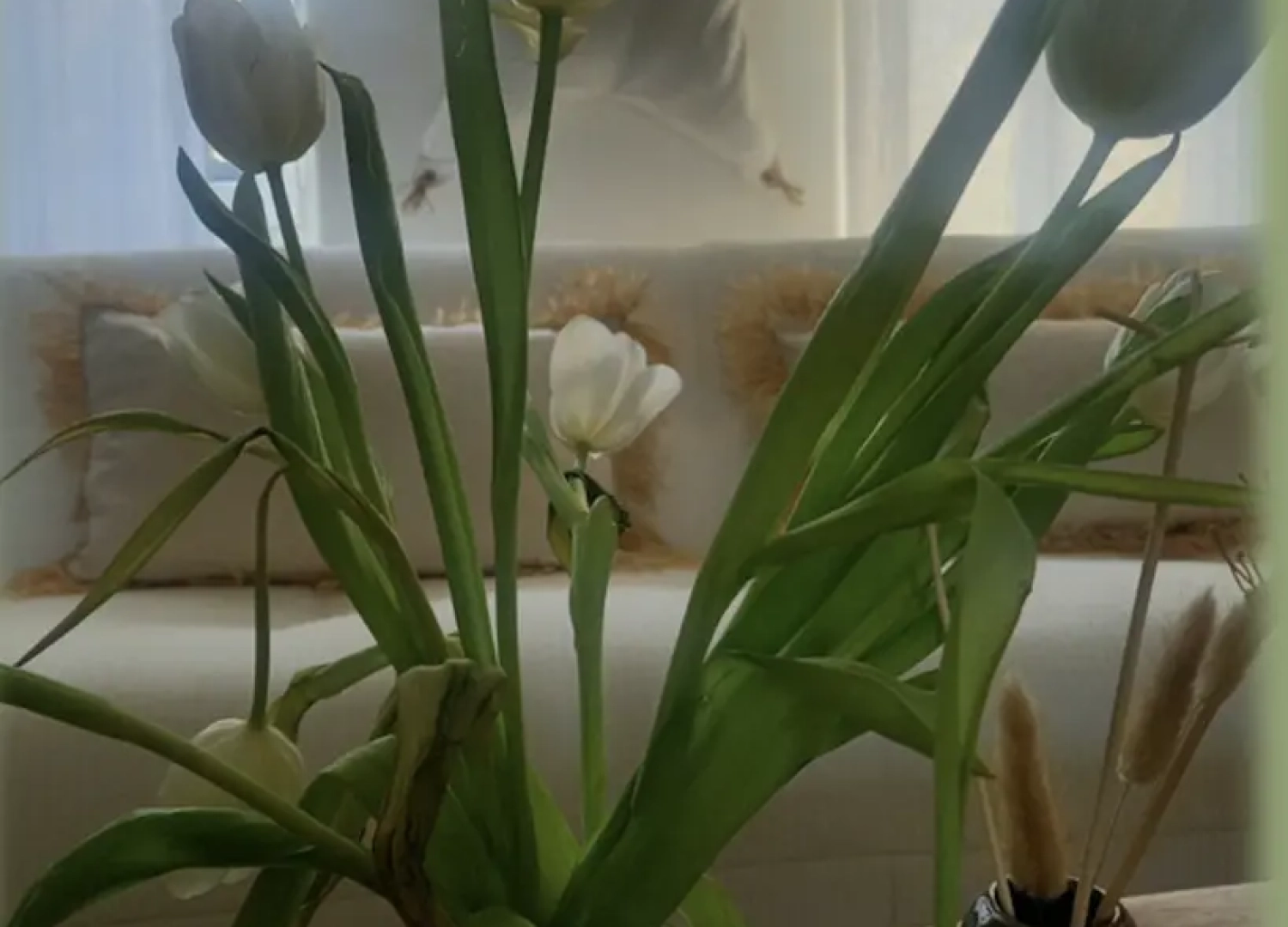 Plante_deco